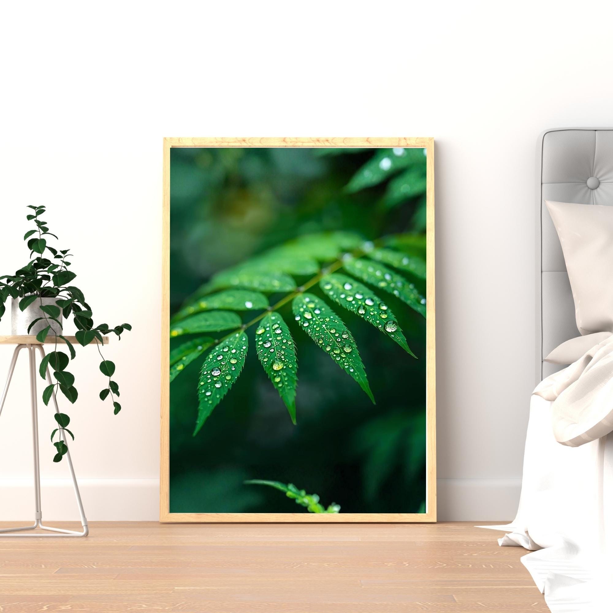 Dew Covered Leaf Wall Art Printable Nature Macro Photography Botanical Minimalist Green Aesthetic Home Decor Digital Download